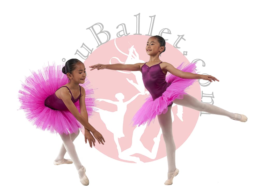 Jual-Rok-Tutu-Anak-Murah-Basic