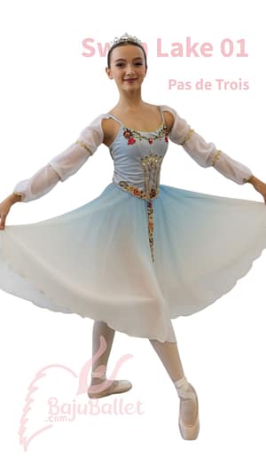 Swan-Lake-01