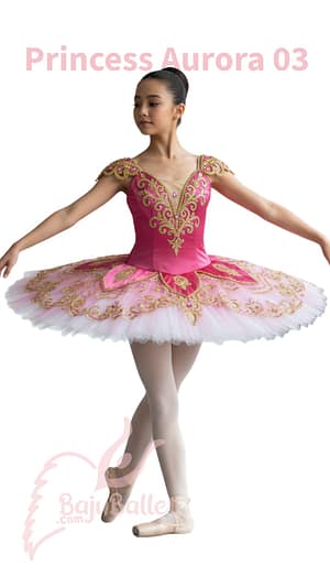 Princess-Aurora-03