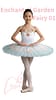 Enchanted-Garden-Fairy-01-Front-1