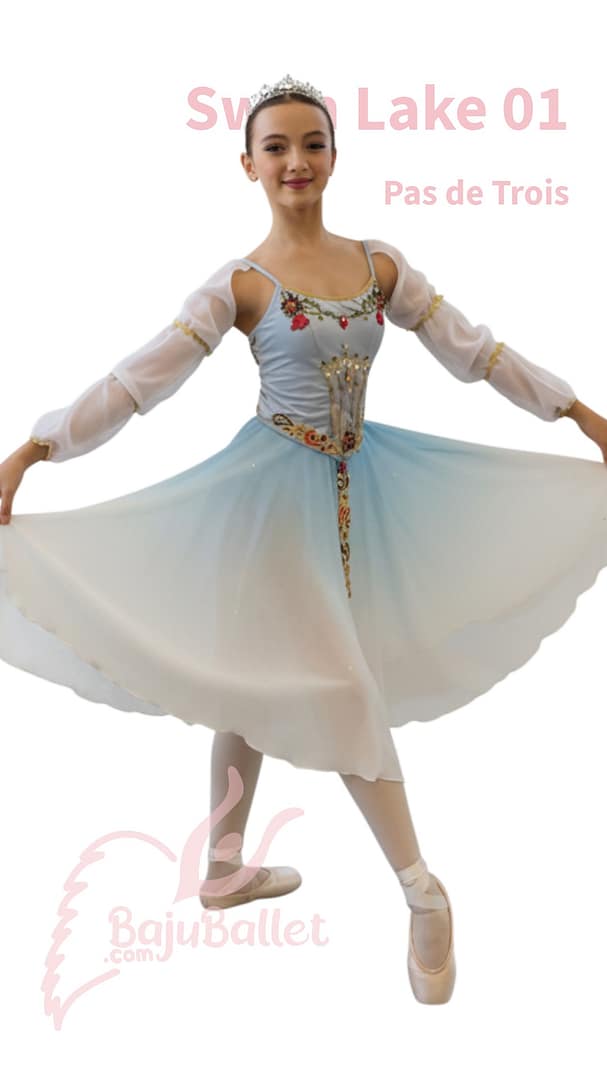 Swan Lake 01 Swan-Lake-01