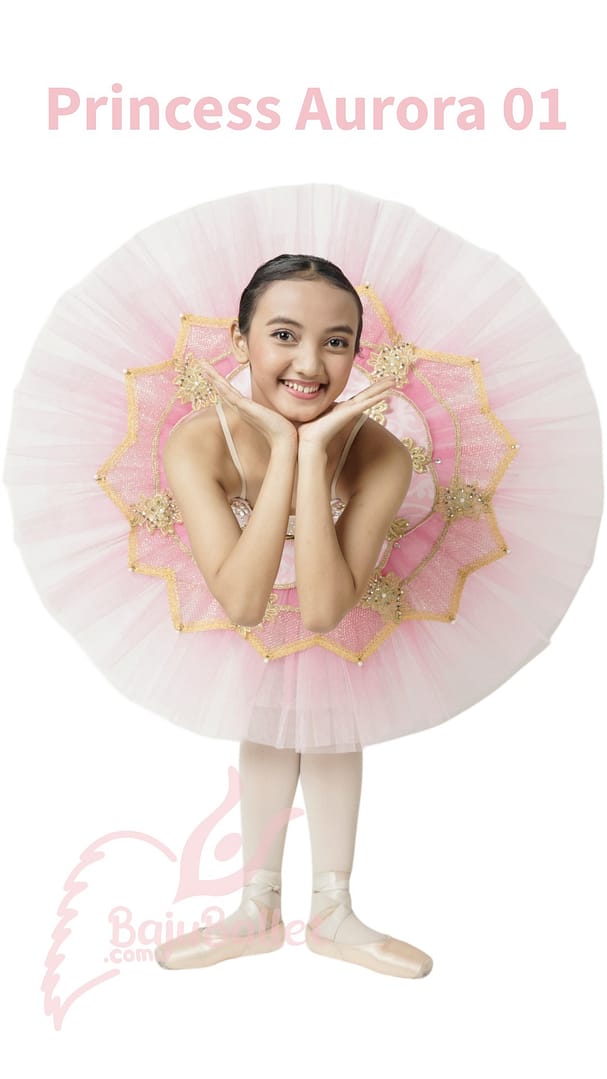 Princess Aurora 01 Princess-Aurora-01-3