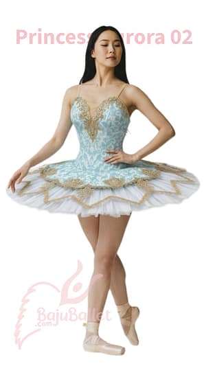 Princess Aurora 02