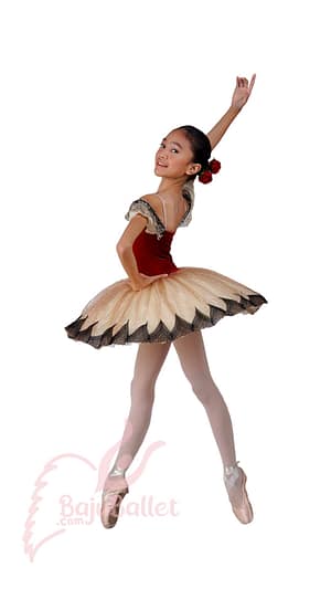 Costume