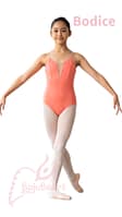 Leotard-Bodice-Salem