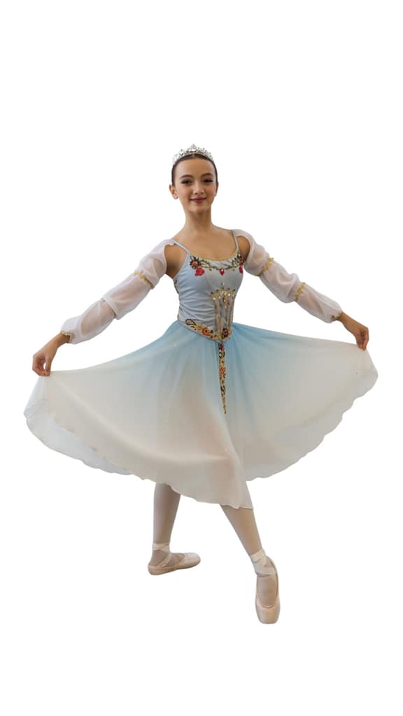 Swan Lake swan-lake