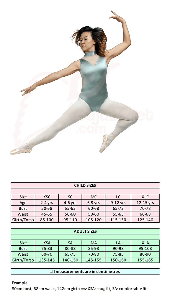 L38 Baju Ballet Dewasa