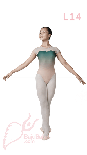 L14 Ombre Leotard