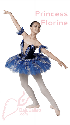 Princess Florine Ballet Costume