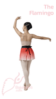 Rok Ballet Anak Chiffon Print