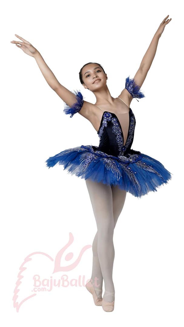 Penari-Ballet-Professional