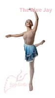 The-Blue-Jay-Chiffon-Print