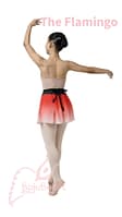 The-Flamingo-Back