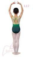 L17-Ombre-Green-Back