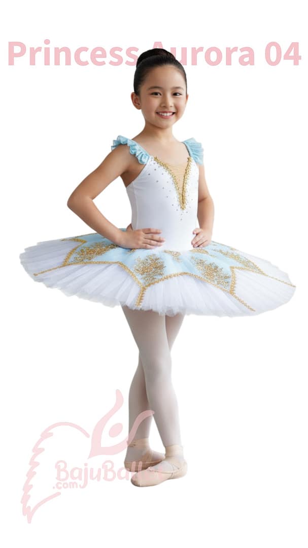 Princess Aurora 04 Princess-Aurora-04-1