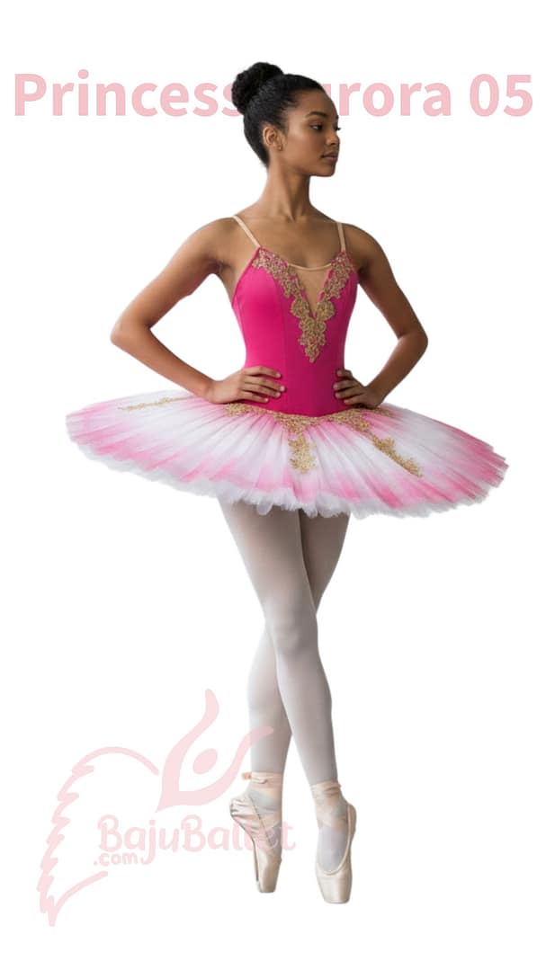 Princess Aurora 05 Princess-Aurora-05-1