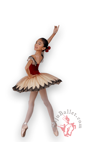 Baju Balet Anak 3 Paquita