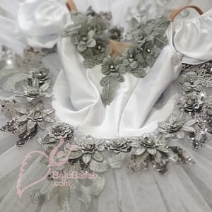 Silver Fairy Costume
