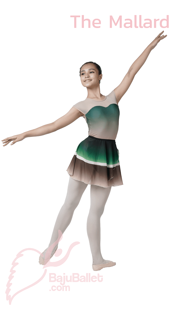 The Mallard 1 The Mallard