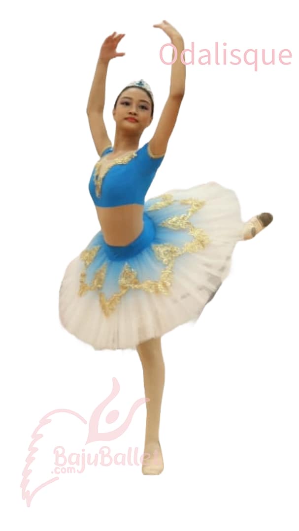 Odalisque 1 Odalisque